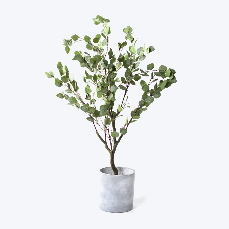 Nep groene plant en pot Eucalyptus-s