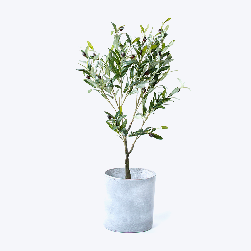 Valse groene plant en pot Olive-s