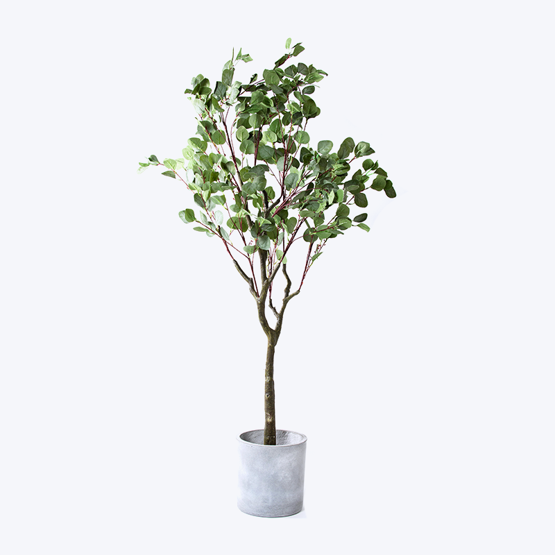 Nep groene plant en pot Eucalyptus-m