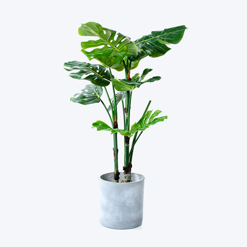 Nep groene plant en pot Monstera-s